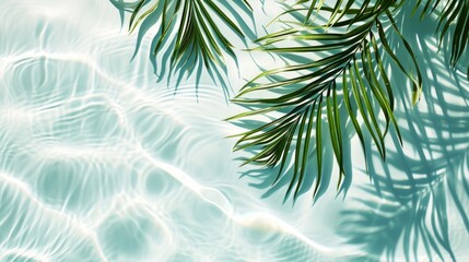 Spa concept with a palm leaf in wavy water. Abstract, transparent tropical water texture surface with palm leaves. top view, beauty backdrop, mockup, spa and wellness, copy space
