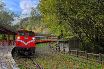 Fascinating forest train passing by station at the Alishan National Forest Recreation Area on...