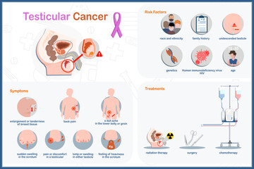 Infographic medical vector illustration. Health care concept. Testicle cancer. Symptoms, risk factors and treatment. Vector in flat style.