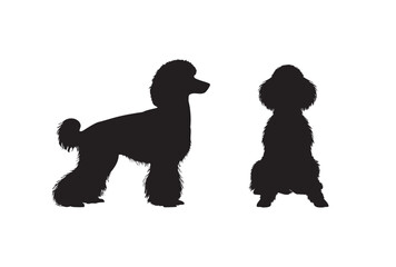 silhouettes of a Poodle dog - obrazy, fototapety, plakaty