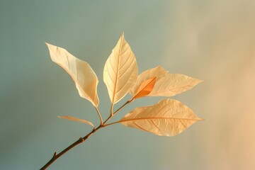 foliage on a plain colored background, natural light, documentary and editorial style