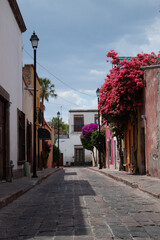 Colorida y florida calle del centro histórico de la ciudad de Querétaro por la tarde