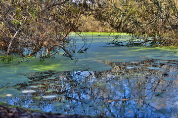 lake