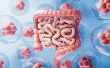 Intestinal tract with digestive health concept, 3d rendering. - obrazy, fototapety, plakaty