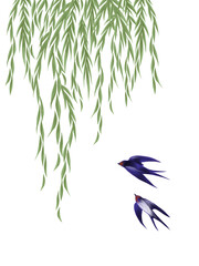 枝垂れ柳と2匹のツバメの水彩イラスト © sokabe