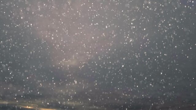 timelapse of snow fall on cloudiness scene bg - loop video