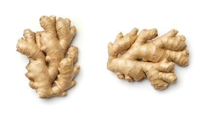 Ginger root collection isolated on white