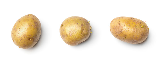Potato collection isolated on white