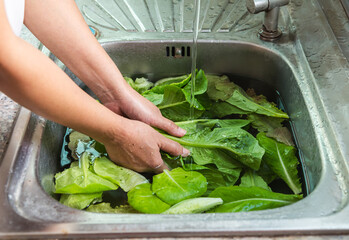 Woman washing vegetables at the sink in home kitchen, vegetable washing with water food hygiene and...