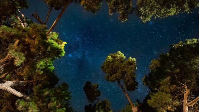 4K, Timelapse, 3-Axis Motion, Milky Way, Stars, Pine trees, Celestial Beauty, Cosmic Motion