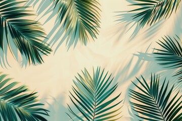 Leaves frame background. Tropical leaf palm border