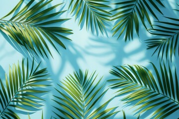 Fototapeta na wymiar Leaves frame background. Tropical leaf palm border