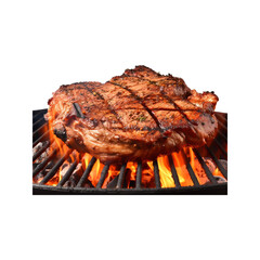 grilled meat on the grill