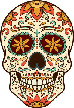 Illustration of mexican sugar skull. Day of the dead. Dia de los muertos. Vector illustration