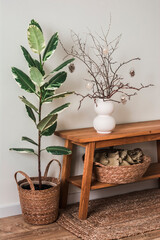 Homemade easter bouquet with glass eggs on a wooden bench, ficus flower in a basket in the living room simple interior