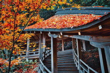 秋が深まるとお寺の境内は紅葉で赤く染まります