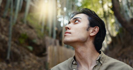 Face, thinking or Asian man in forest for journey on holiday, vacation for freedom or wellness....