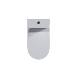 Lavatory pan isolated on a white background, bidet, 3D illustration, and CG render
