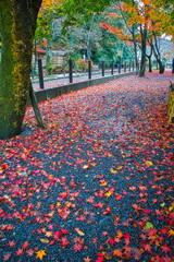 秋が深まるとお寺の境内は紅葉で赤く染まります