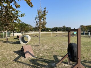 遊具の多いドッグラン