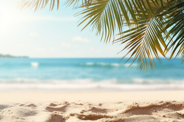 Fototapeta na wymiar Sandy Beach with Palm Tree