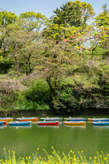 Chidoriga-fuchi Park moat and boats at spring in Tokyo, Japan