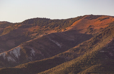 Fototapeta na wymiar Mountains overgrown with green trees at sunset