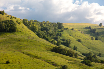 Green mountains in summer against the background of the sky with clouds