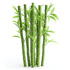 Fototapeta premium bamboo isolated on white background