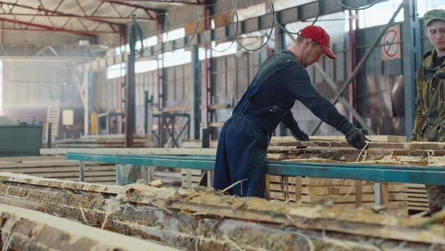 Worker is using an industrial saw to cut the excess material from the planks. Worker is moving the industrial saw on a conveyor line. Worker is processing the wood with the industrial saw tool.