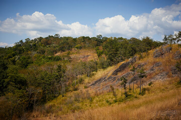 Naklejka premium autumn in the mountains