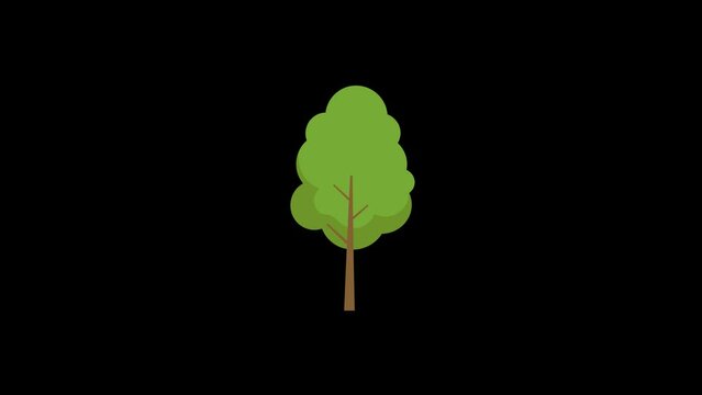 animated footage of moving trees. motion graphics of trees