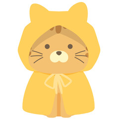 Orange cat with yellow raincoat 