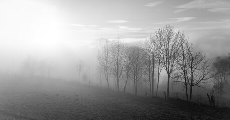 Fototapeta na wymiar Foggy wide angle panorama in Altena with low sun and bare trees in rural landscape. Misty scenery in Sauerland, Germany on a winters day. Black and white mystic atmosphere in rural area.