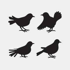 Pigeon birds set. Doves in different poses are isolated on a white background. Vector illustration. eps