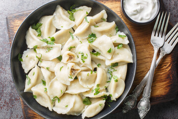 Homemade Polish dumplings small pierogi or uszka filled with mushrooms and cabbage closeup on the...