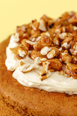 sponge cake with cream and nuts on a yellow background