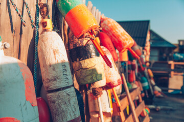 Colorful buoys hang from a wooden fence on a late afternoon. - obrazy, fototapety, plakaty
