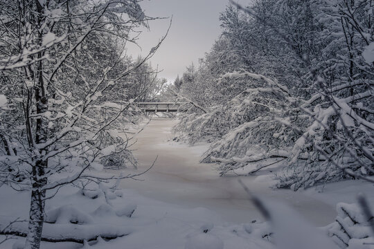 Winter landscape with frozen river, trees and wooden bridge in forest