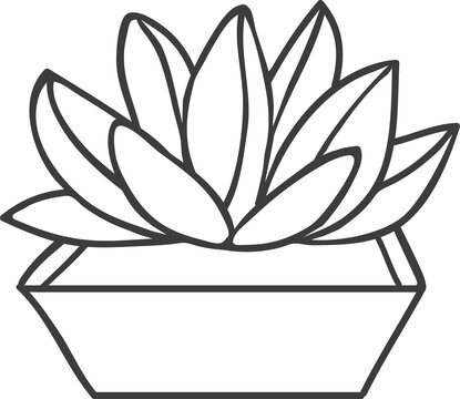 Agave americana century plant isolated cactus icon