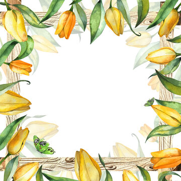 floral frame made of yellow tulips, leaves, wooden elements and green butterflies. botanical watercolor illustration on a white background. for the design of postcards.