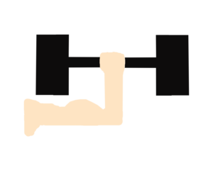 an illustration of lifting an iron barbell in a GYM