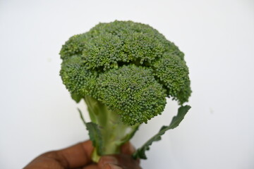 Broccoli Isolated on white background. Its other names Brassica oleracea var italica. This is an edible green plant in the cabbage family.  Broccoli is a particularly rich source of vitamin C and K.