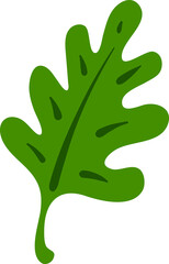 Green palm leaf, tropic exotic tree plant foliage