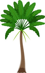Palm tree, jungle and dinosaur era environment