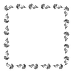 Vector drawn floral frame on white background