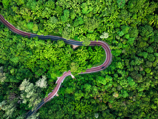 View from above, stunning aerial view of a road surrounded by green vegetations and palm trees....
