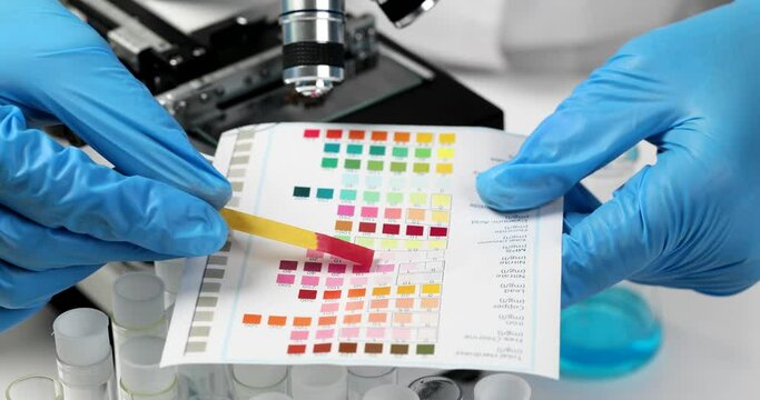 Chemist comparing colorchanged litmus paper with color samples in lab closeup 4k movie slow motion. Determination of acidity of chemical solutions concept
