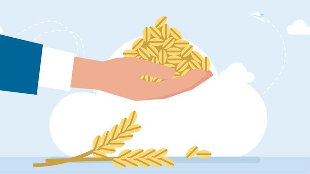 A pile of grain on the palm of a businessman's hand. Wheat ears. Bunch of grain barley. Barley illustration. Wheat, granule, kernel, corn, rye, barley, oats. 2d flat animation. Bright cartoon. 