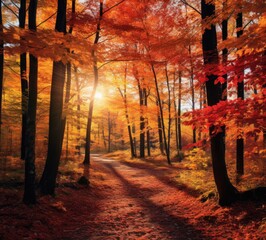 Autumn forest path with autumn leaves and sun in the background. Generative AI.